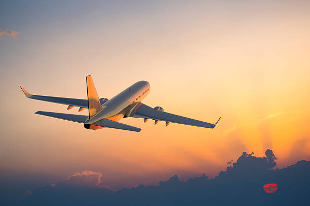 International Flights
